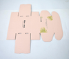 Shipping Mailer Box